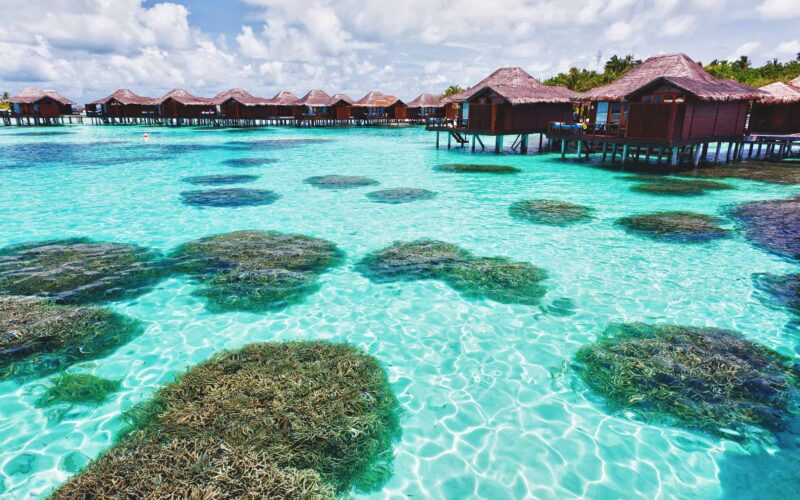 When is the best time to visit the Maldives?