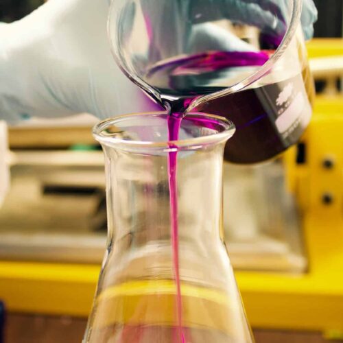 Science explains why we should all work shorter hours in winter