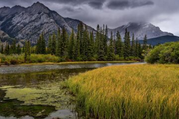 Our Trip to the Biggest National Park of Canada