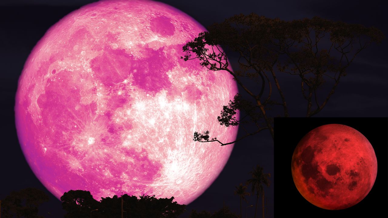 Strawberry Moon : Best times to watch