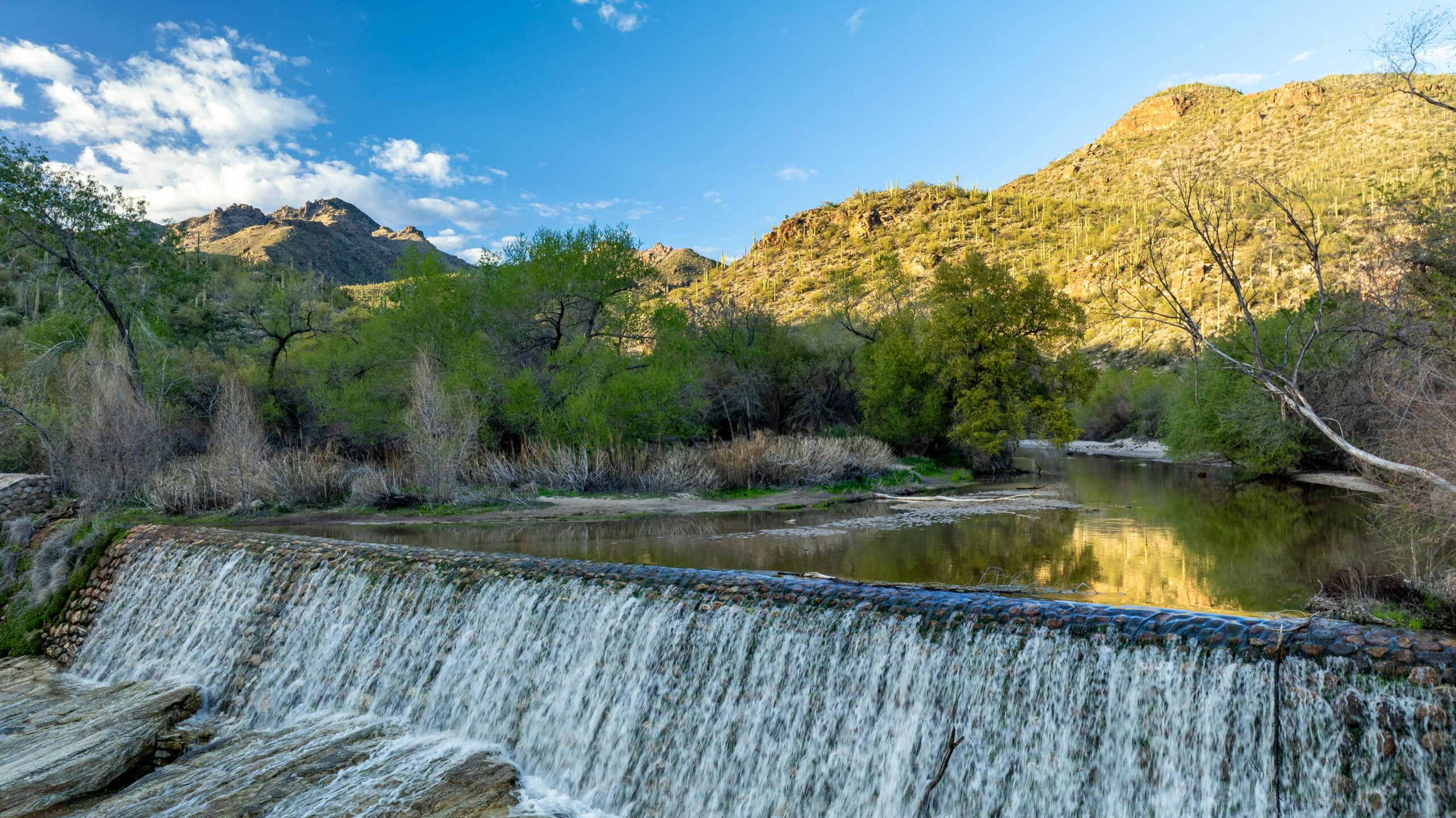 Peaceful Sabino Canyon Dam and Waterfall