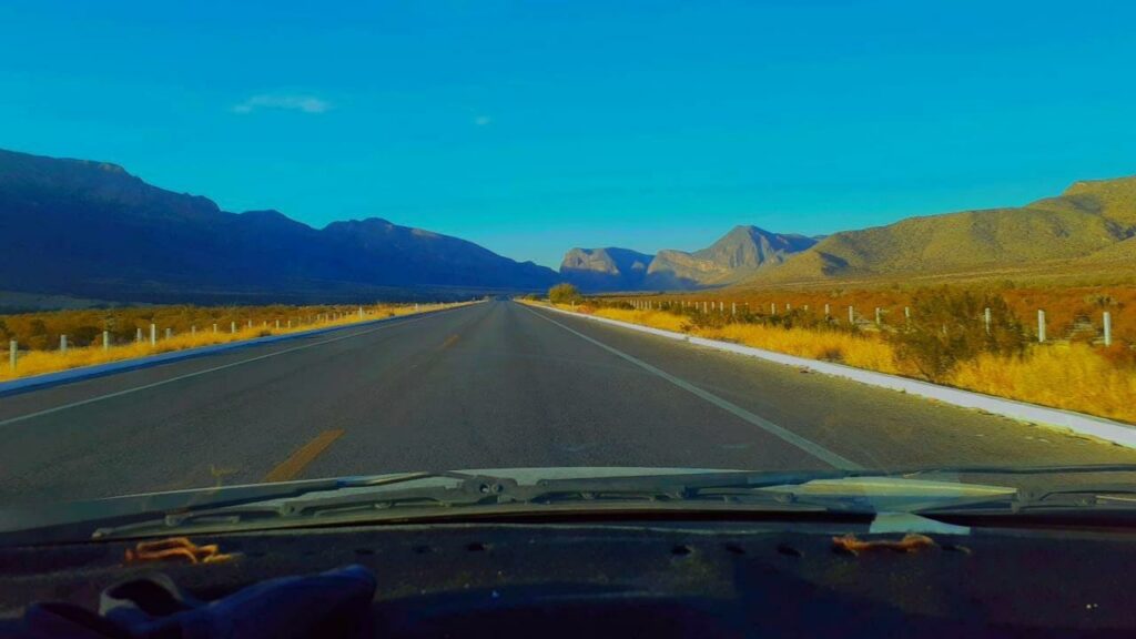 nature video, motivation, roadtrip, highway, instagram, sun, car, calm, subscribe, green, nature, plant, spirituality, peace, meditation, balance, botany, texture, organic, summer, garden, mexico, floral, natural, spring, nature video, nature video, nature video, nature video, subscribe, subscribe, subscribe, subscribe, subscribe